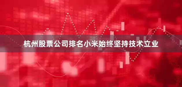 杭州股票公司排名小米始终坚持技术立业