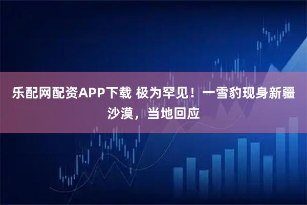 乐配网配资APP下载 极为罕见！一雪豹现身新疆沙漠，当地回应