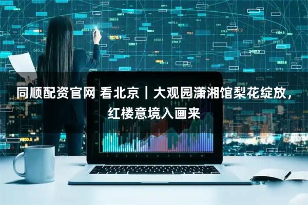 同顺配资官网 看北京|大观园潇湘馆梨花绽放,红楼意境入画来