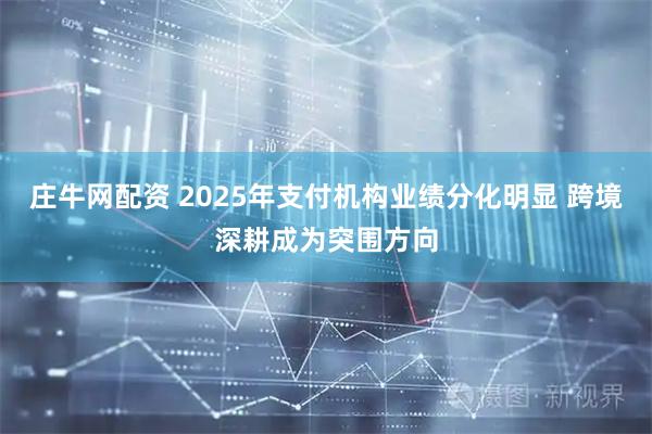 庄牛网配资 2025年支付机构业绩分化明显 跨境深耕成为突围方向